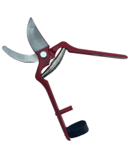 Acorn vintage bellota