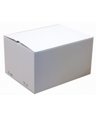 Box 12 bot. white alveolus DD