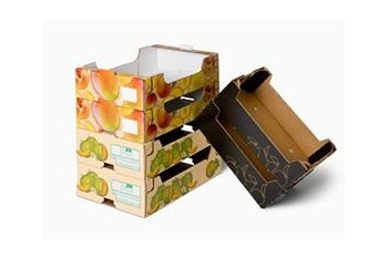 Fruit Carton Box