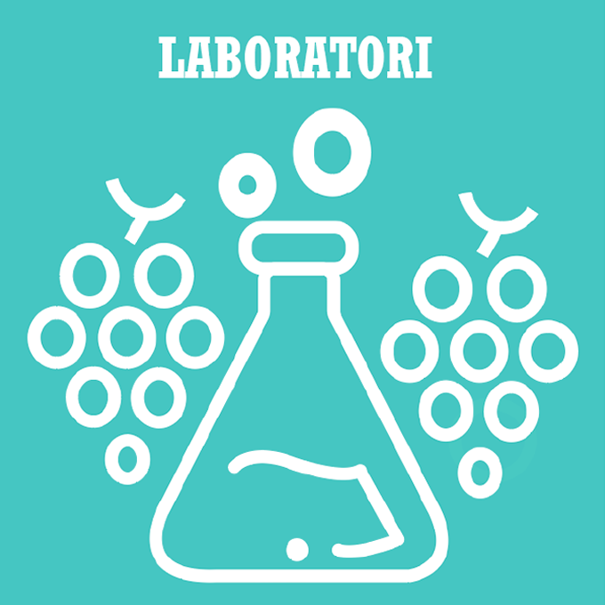 laboratori