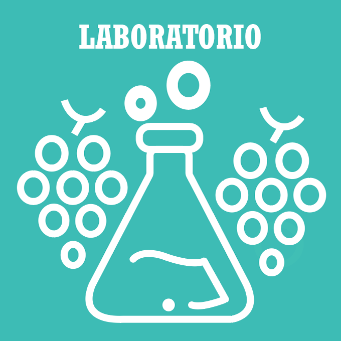 laboratorio enología